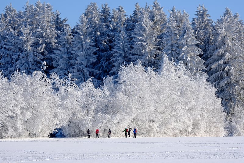 Winter landscape